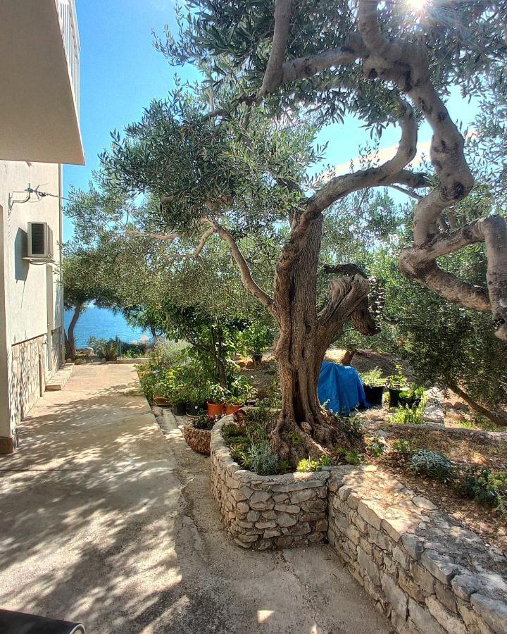 Ferienwohnung Casa Del Olivo Tučepi Exterior foto