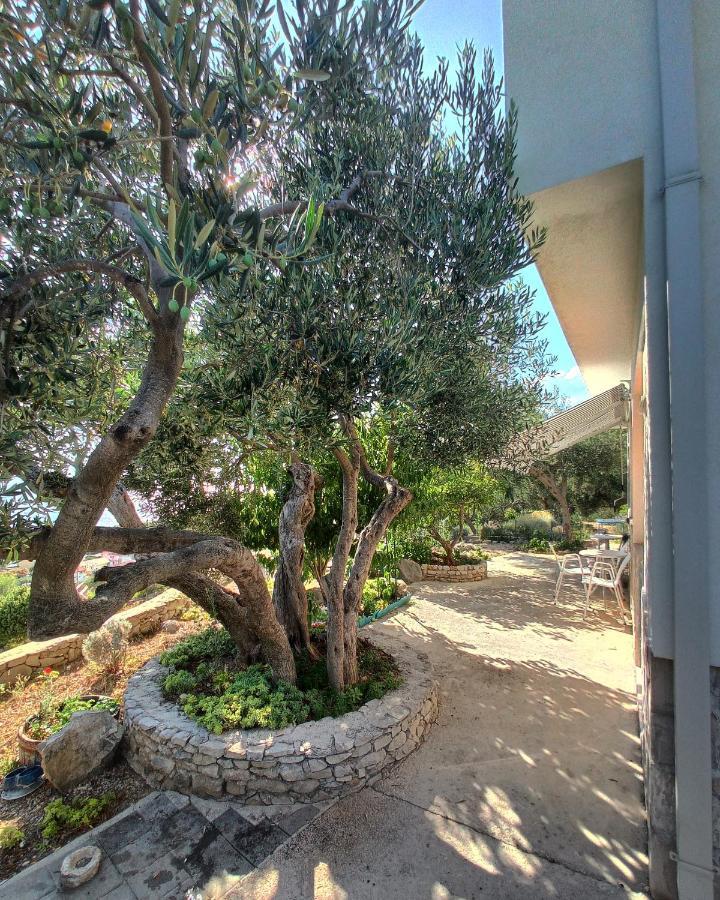 Ferienwohnung Casa Del Olivo Tučepi Exterior foto
